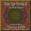 Various Artists - New Age Roots II: The Next Chapter